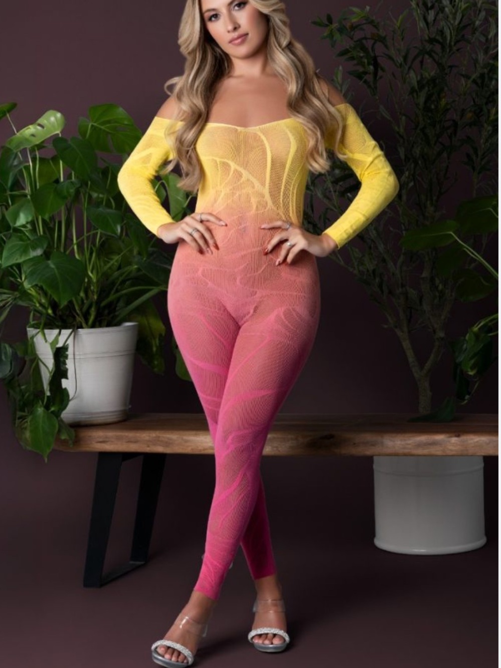Exposed Seamless Sheer Bodysuit Long Sleeve Body Stocking Ombré Sexy Lingerie